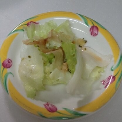 こざかなアーモンドさん☺️
夕飯にレタスのごま鰹節サラダ、いただきました☘️とてもおいしかったです♥️
レポ、ありがとうございます(*ﾟー^)